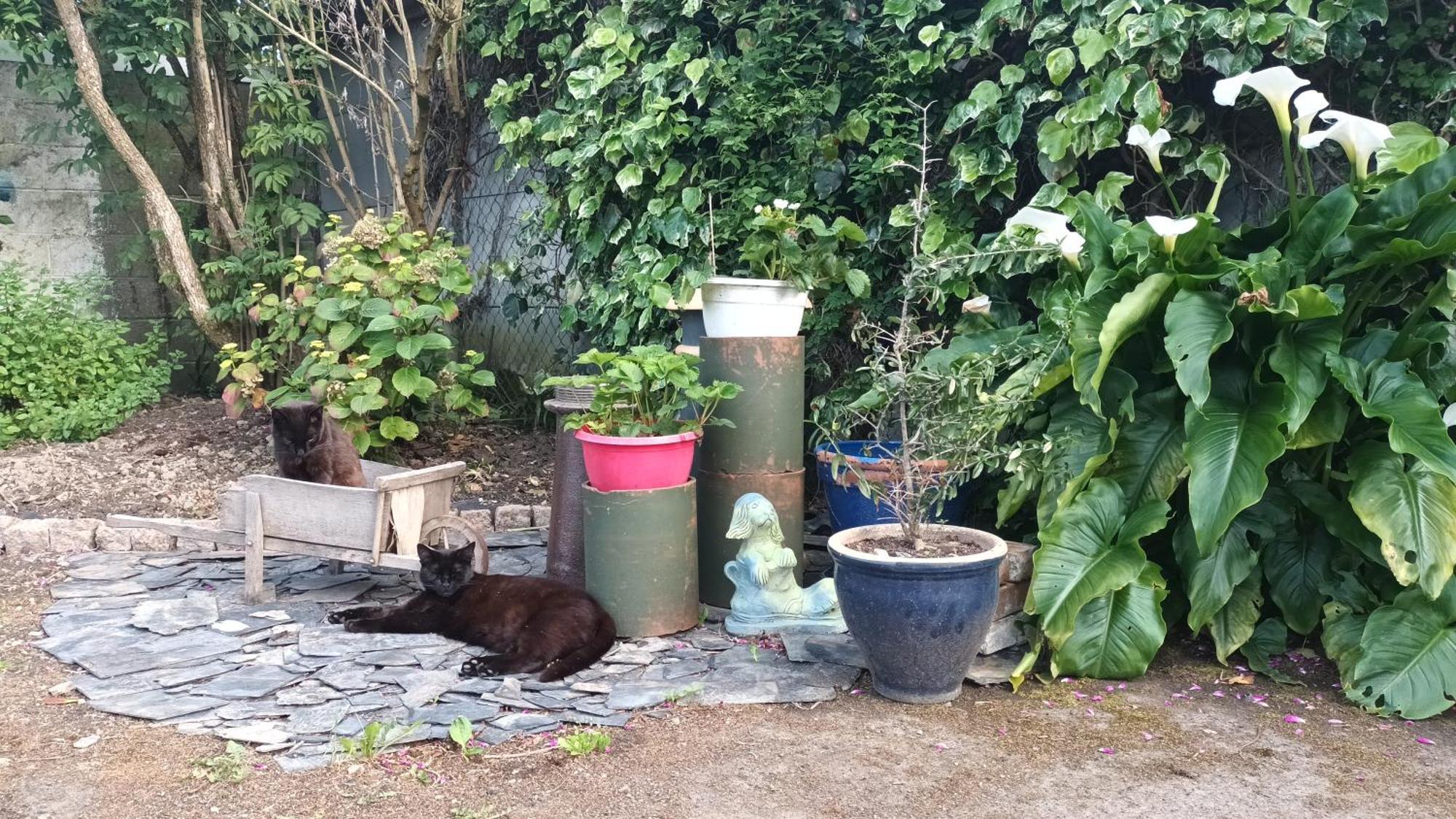La Petite Ecole De La Baie Βίλα Ποντορσόν Εξωτερικό φωτογραφία